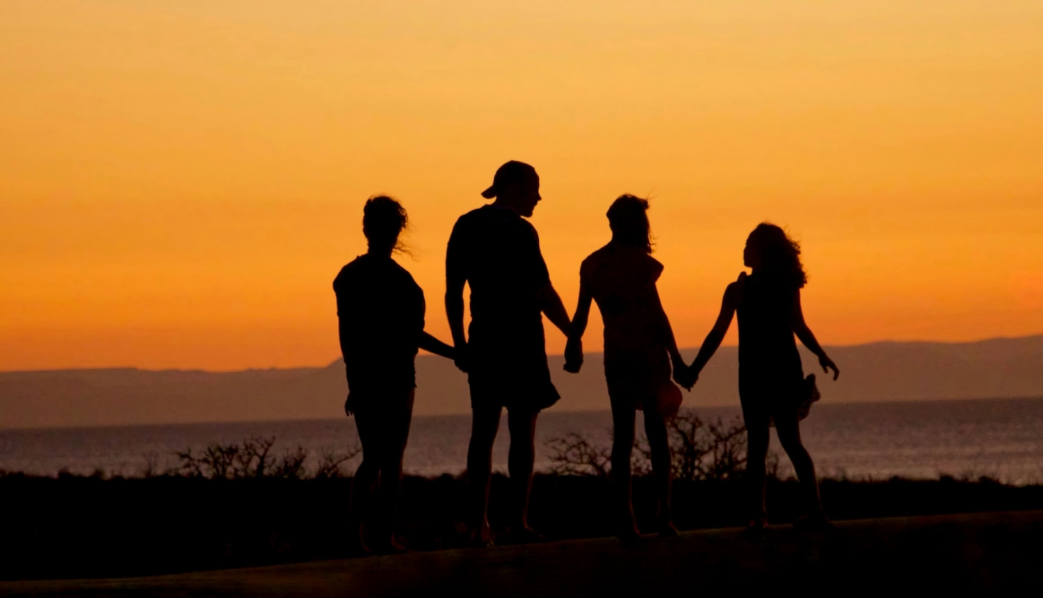 Ģimenes psihoterapija