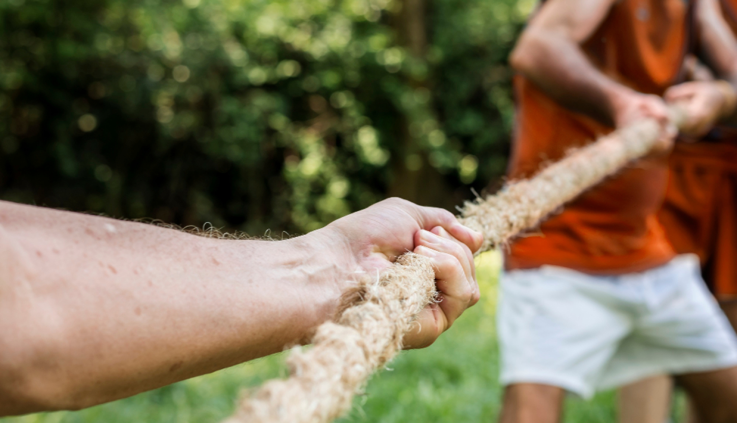 Virves vilkšanas sacensības